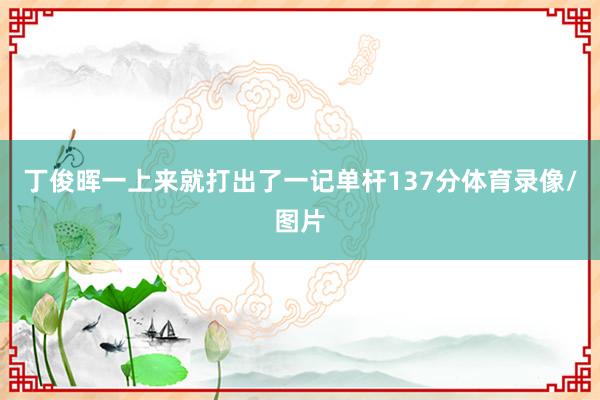 丁俊晖一上来就打出了一记单杆137分体育录像/图片