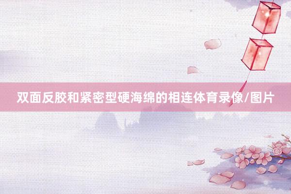 双面反胶和紧密型硬海绵的相连体育录像/图片