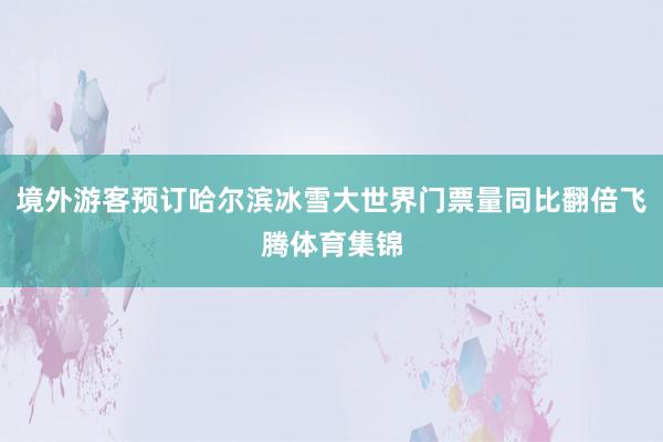 境外游客预订哈尔滨冰雪大世界门票量同比翻倍飞腾体育集锦