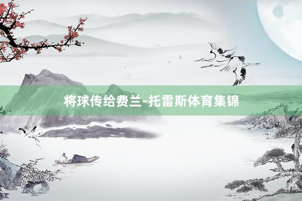 将球传给费兰-托雷斯体育集锦