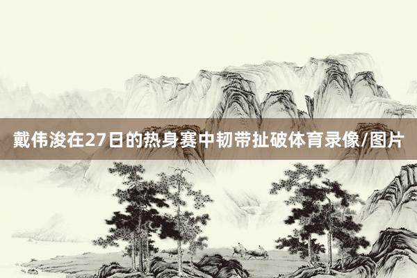 戴伟浚在27日的热身赛中韧带扯破体育录像/图片