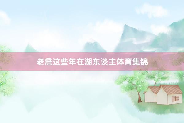 老詹这些年在湖东谈主体育集锦
