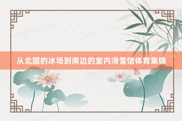 从北国的冰场到南边的室内滑雪馆体育集锦