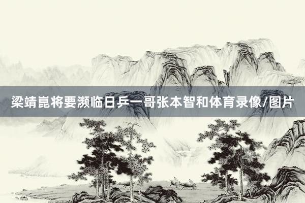 梁靖崑将要濒临日乒一哥张本智和体育录像/图片