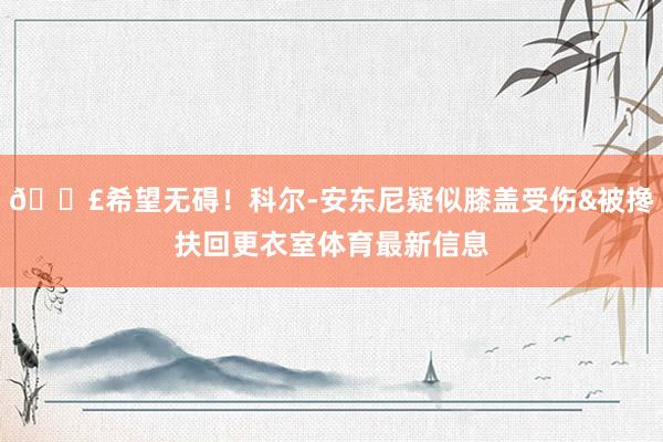 😣希望无碍！科尔-安东尼疑似膝盖受伤&被搀扶回更衣室体育最新信息