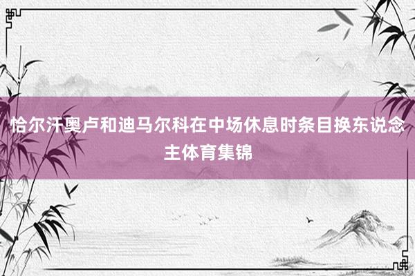 恰尔汗奥卢和迪马尔科在中场休息时条目换东说念主体育集锦