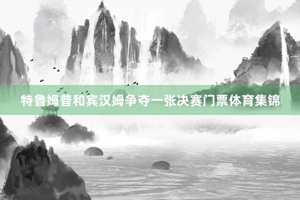 特鲁姆普和宾汉姆争夺一张决赛门票体育集锦