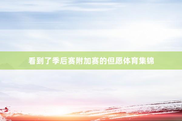 看到了季后赛附加赛的但愿体育集锦