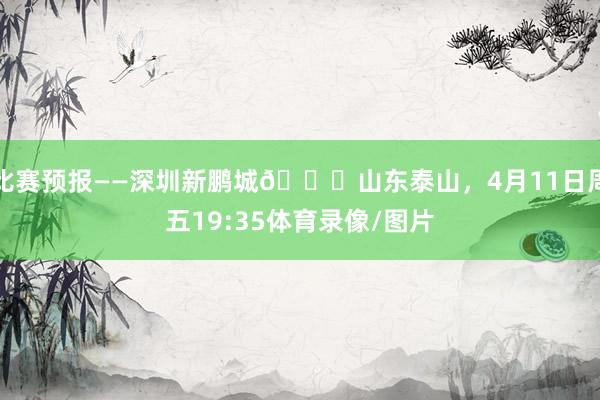 比赛预报——深圳新鹏城🆚山东泰山，4月11日周五19:35体育录像/图片