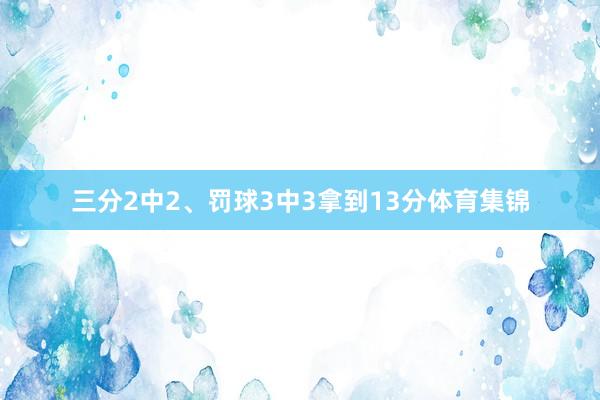 三分2中2、罚球3中3拿到13分体育集锦