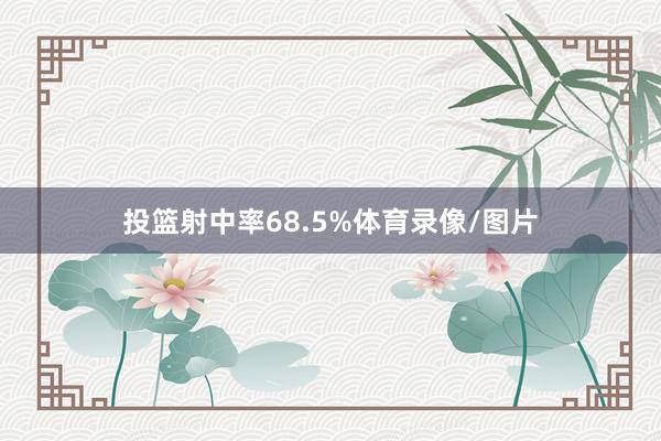 投篮射中率68.5%体育录像/图片