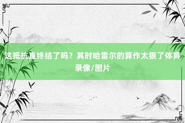 这抵抗直终结了吗？其时哈雷尔的算作太狠了体育录像/图片