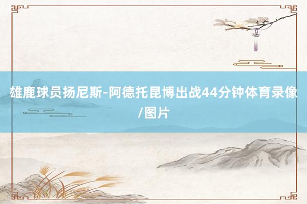 雄鹿球员扬尼斯-阿德托昆博出战44分钟体育录像/图片