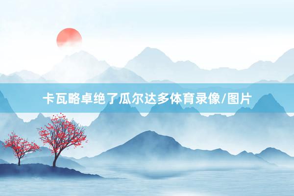 卡瓦略卓绝了瓜尔达多体育录像/图片