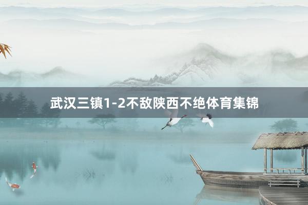 武汉三镇1-2不敌陕西不绝体育集锦