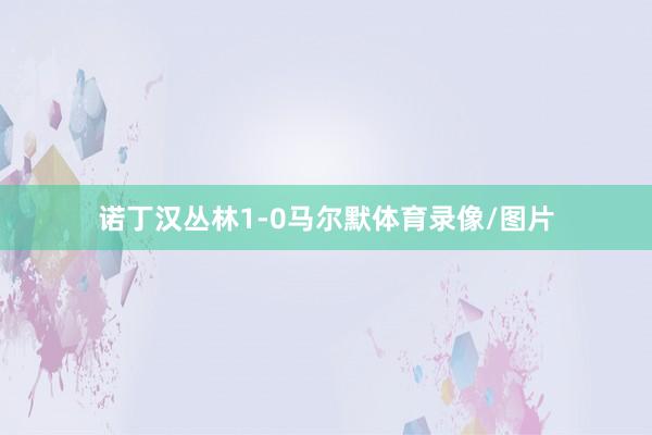 诺丁汉丛林1-0马尔默体育录像/图片