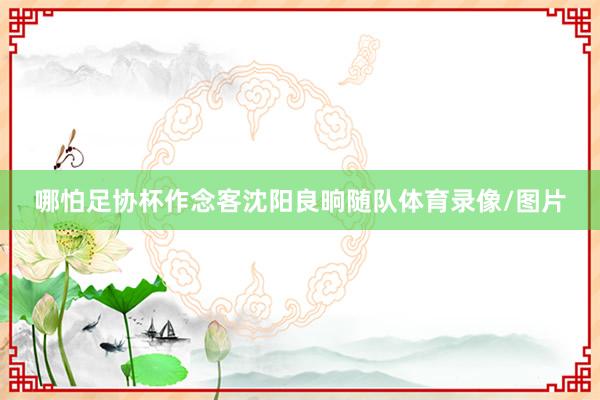 哪怕足协杯作念客沈阳良晌随队体育录像/图片