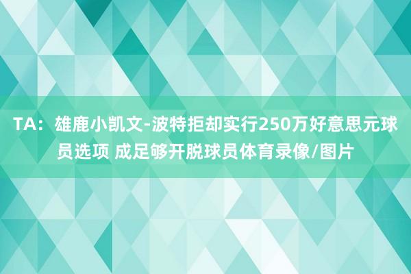TA:雄鹿小凯文-波特拒却实行250万好意思元球员选项 成足够开脱球员体育录像/图片