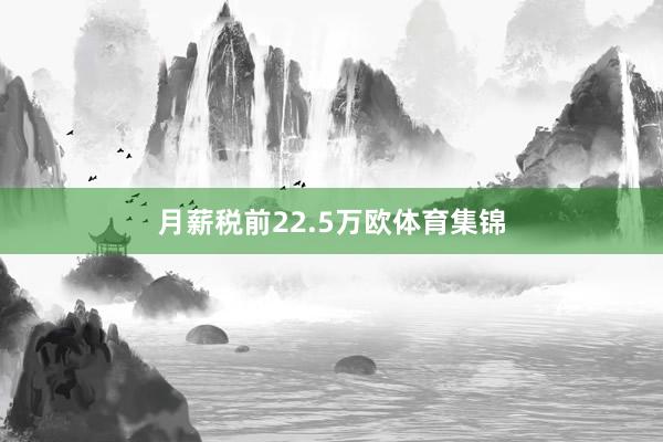月薪税前22.5万欧体育集锦