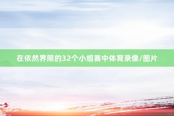在依然界限的32个小组赛中体育录像/图片