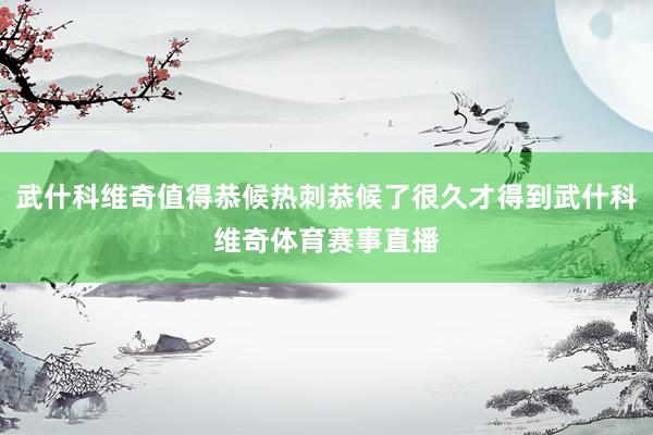 武什科维奇值得恭候热刺恭候了很久才得到武什科维奇体育赛事直播