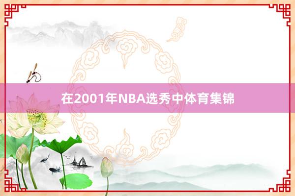 在2001年NBA选秀中体育集锦