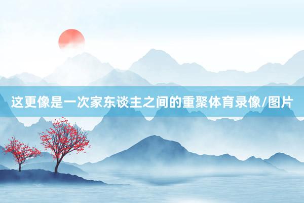 这更像是一次家东谈主之间的重聚体育录像/图片