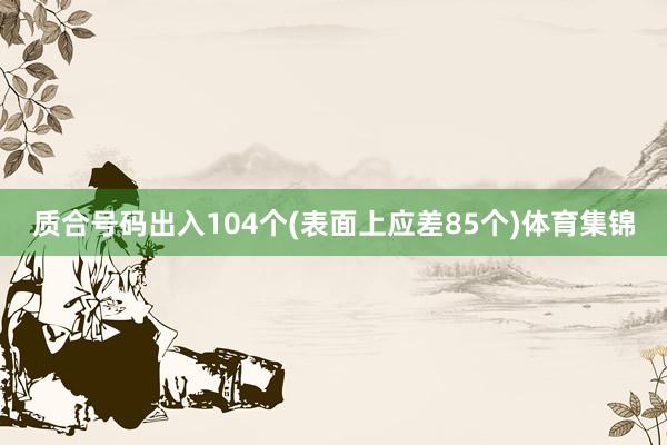 质合号码出入104个(表面上应差85个)体育集锦