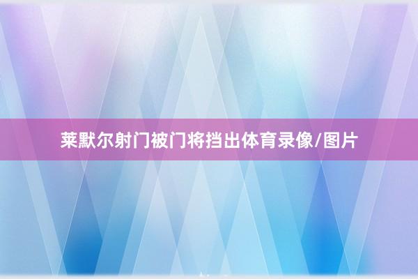 莱默尔射门被门将挡出体育录像/图片