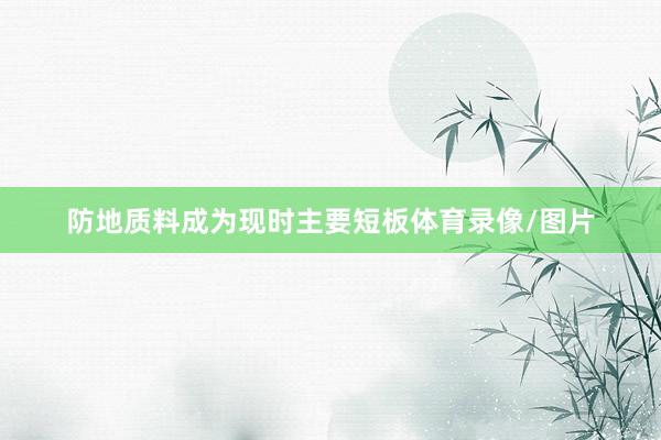 防地质料成为现时主要短板体育录像/图片