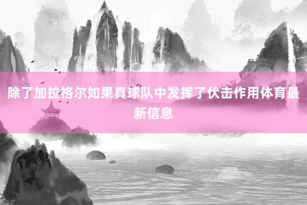 除了加拉格尔如果真球队中发挥了伏击作用体育最新信息