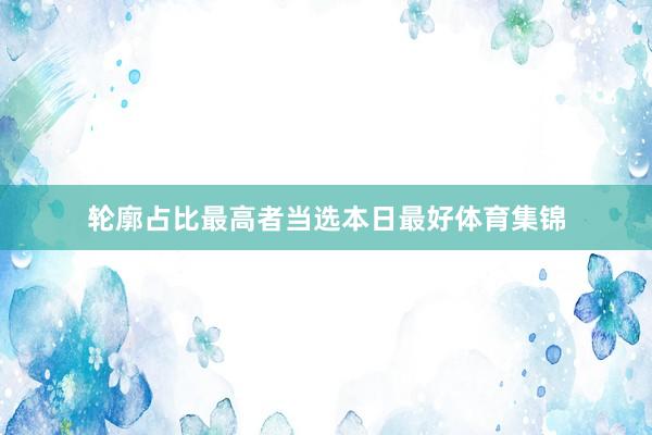 轮廓占比最高者当选本日最好体育集锦