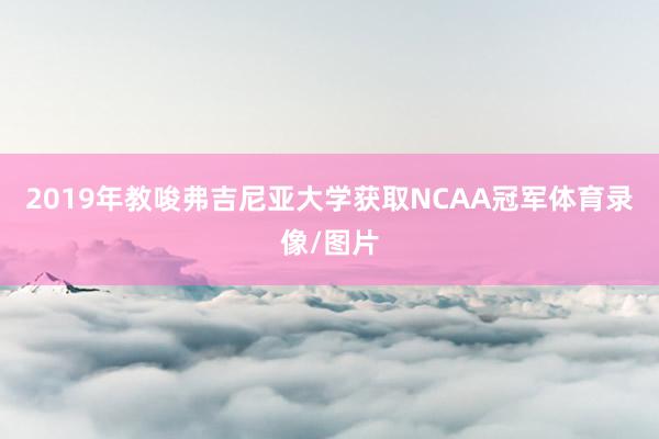 2019年教唆弗吉尼亚大学获取NCAA冠军体育录像/图片