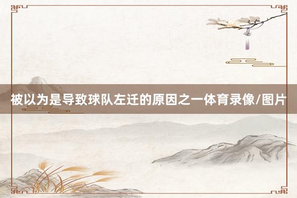 被以为是导致球队左迁的原因之一体育录像/图片