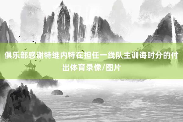 俱乐部感谢特维内特在担任一线队主训诲时分的付出体育录像/图片