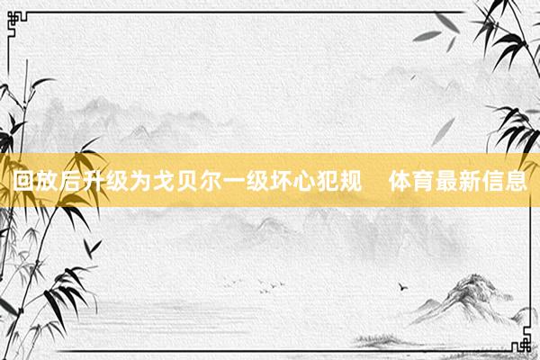 回放后升级为戈贝尔一级坏心犯规    体育最新信息