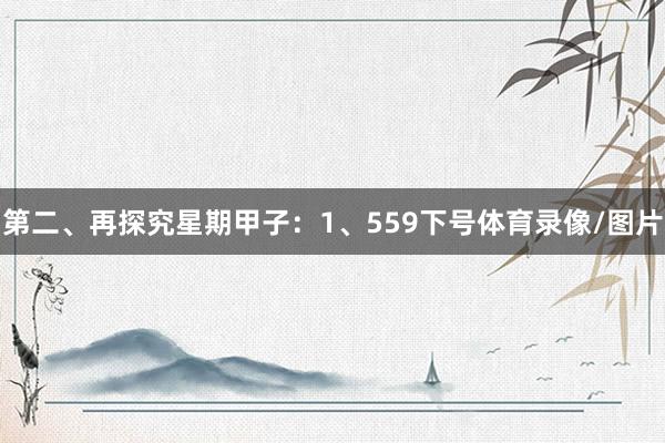 第二、再探究星期甲子：　　1、559下号体育录像/图片