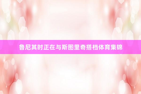 鲁尼其时正在与斯图里奇搭档体育集锦