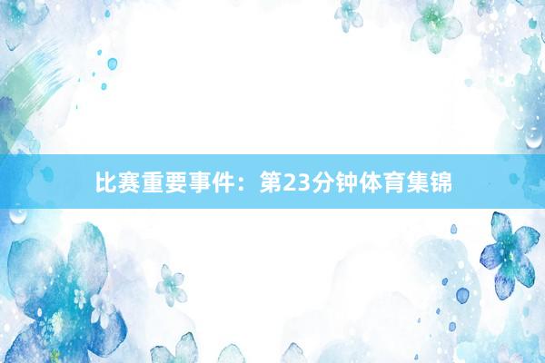 比赛重要事件：第23分钟体育集锦