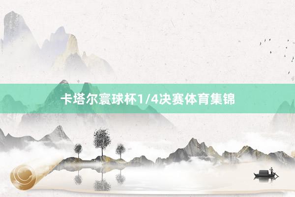卡塔尔寰球杯1/4决赛体育集锦