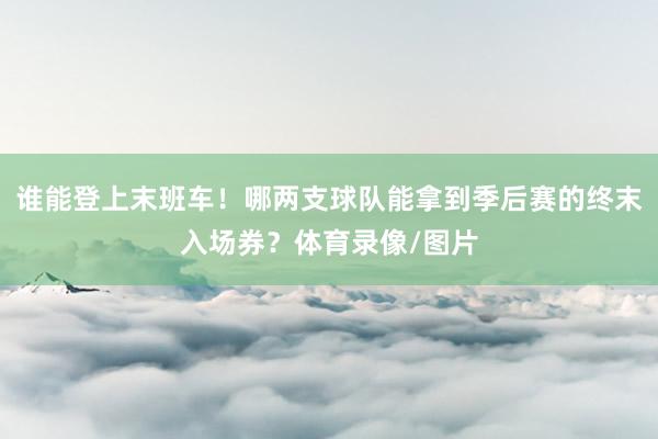 谁能登上末班车！哪两支球队能拿到季后赛的终末入场券？体育录像/图片