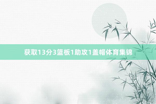 获取13分3篮板1助攻1盖帽体育集锦