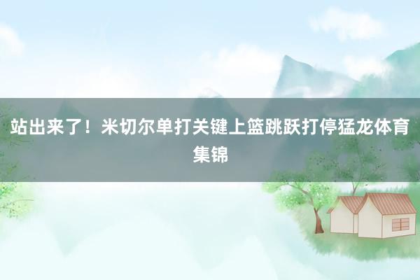 站出来了！米切尔单打关键上篮跳跃打停猛龙体育集锦
