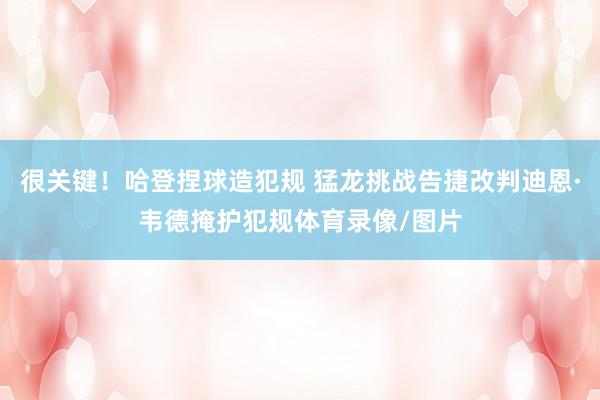 很关键！哈登捏球造犯规 猛龙挑战告捷改判迪恩·韦德掩护犯规体育录像/图片