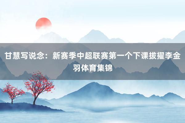 甘慧写说念：新赛季中超联赛第一个下课拔擢李金羽体育集锦
