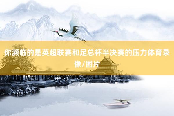 你濒临的是英超联赛和足总杯半决赛的压力体育录像/图片