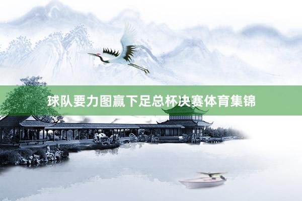 球队要力图赢下足总杯决赛体育集锦