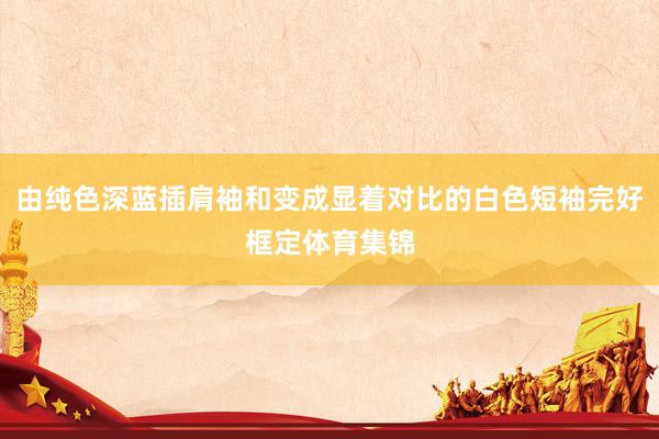 由纯色深蓝插肩袖和变成显着对比的白色短袖完好框定体育集锦