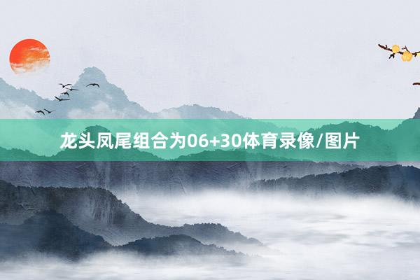 龙头凤尾组合为06+30体育录像/图片