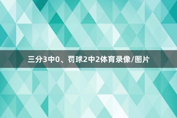 三分3中0、罚球2中2体育录像/图片